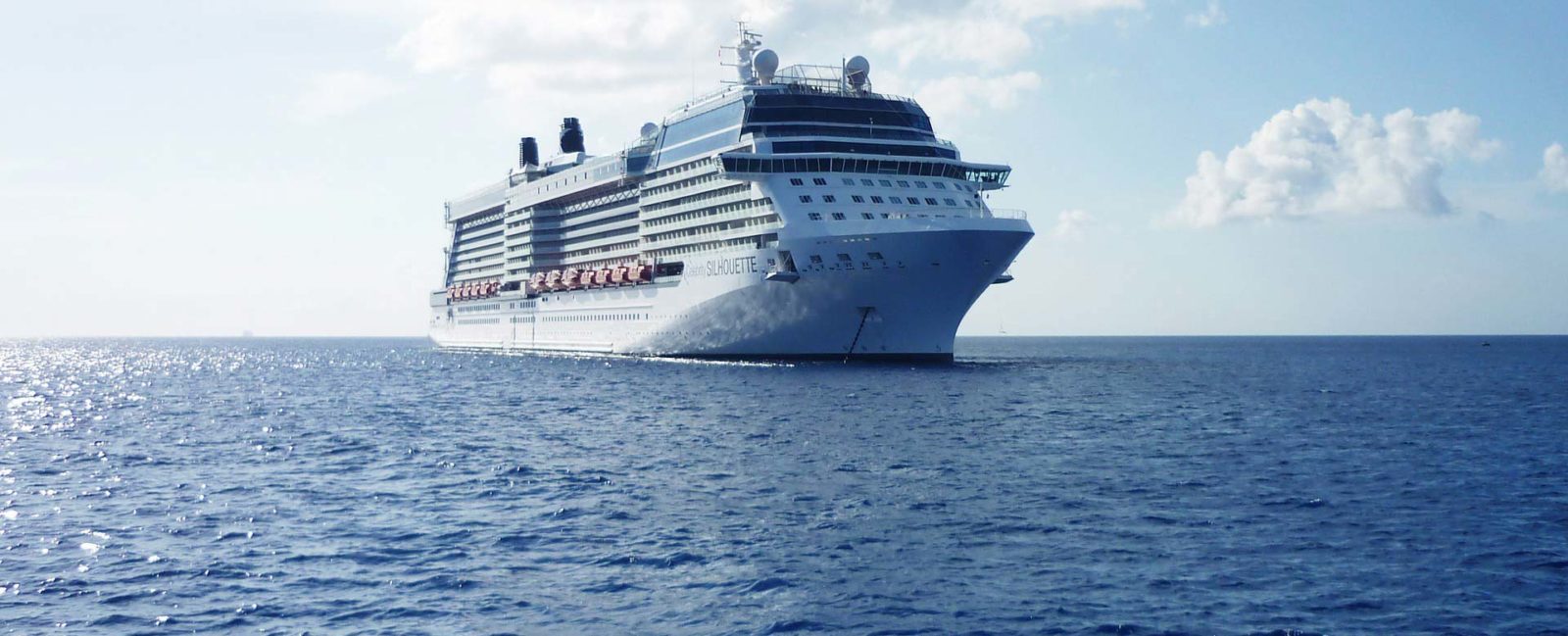 Hochseekreuzfahrt_Schiff_cut